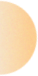 orange circle